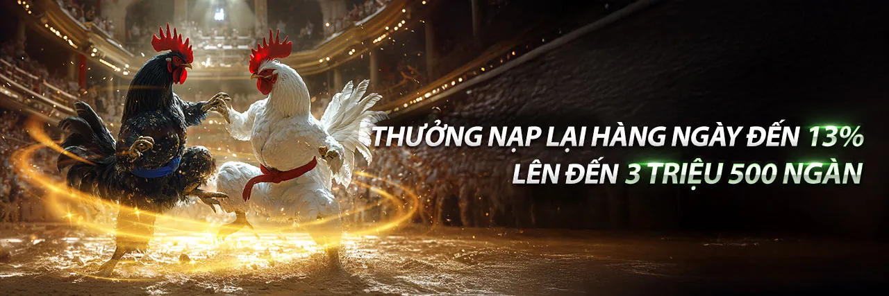Sân đấu đá gà trực tuyến sôi động tại f18678